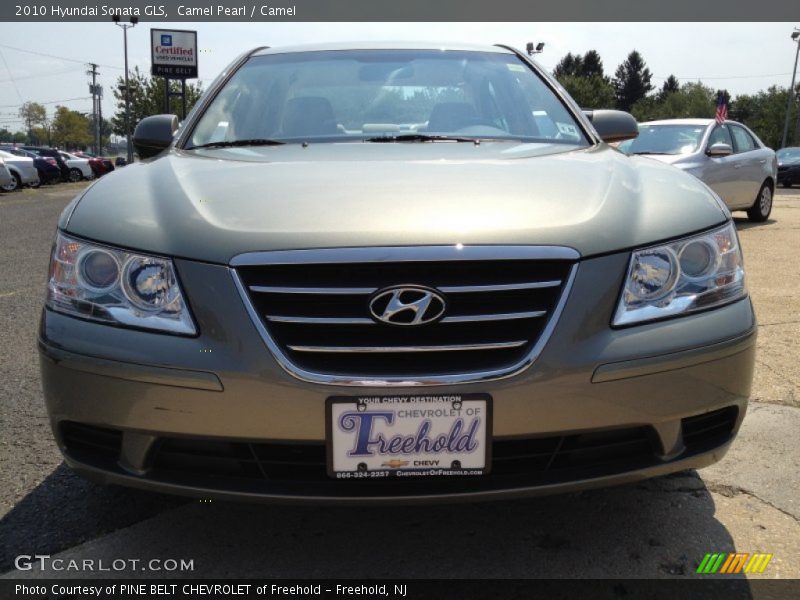 Camel Pearl / Camel 2010 Hyundai Sonata GLS