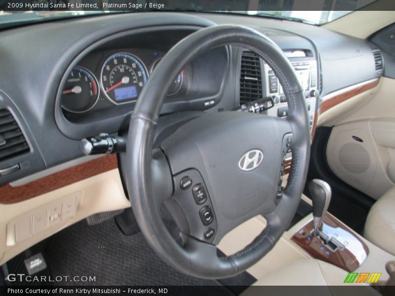 Platinum Sage / Beige 2009 Hyundai Santa Fe Limited