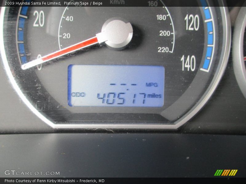 Platinum Sage / Beige 2009 Hyundai Santa Fe Limited