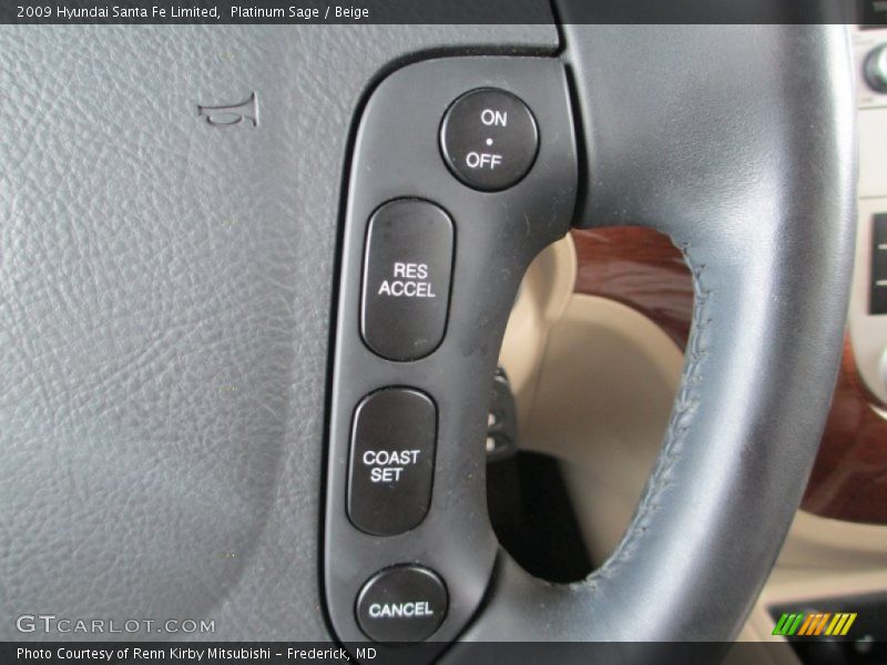 Platinum Sage / Beige 2009 Hyundai Santa Fe Limited
