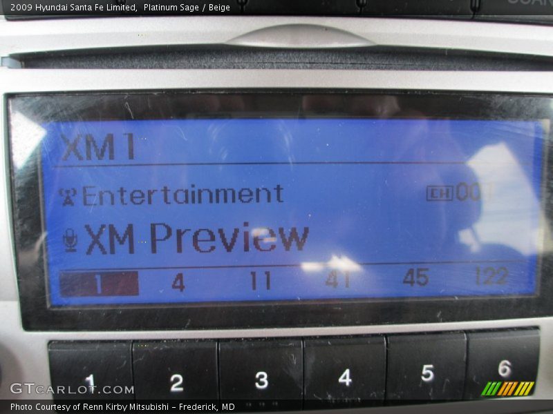 Platinum Sage / Beige 2009 Hyundai Santa Fe Limited