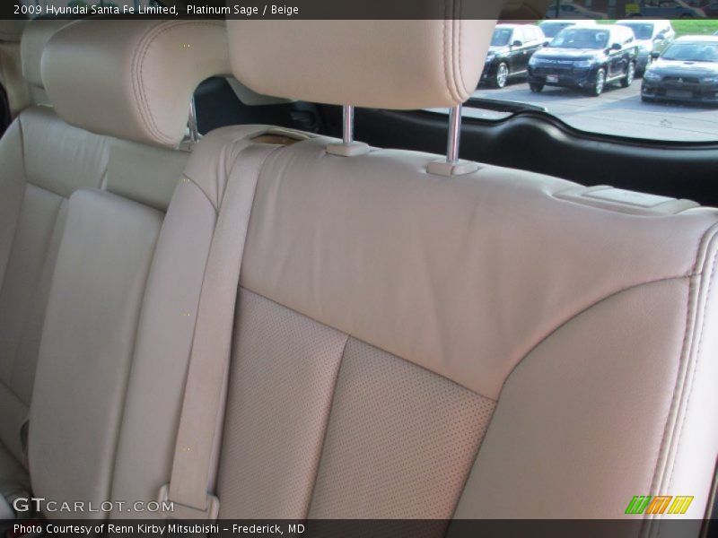 Platinum Sage / Beige 2009 Hyundai Santa Fe Limited