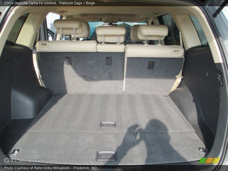 Platinum Sage / Beige 2009 Hyundai Santa Fe Limited