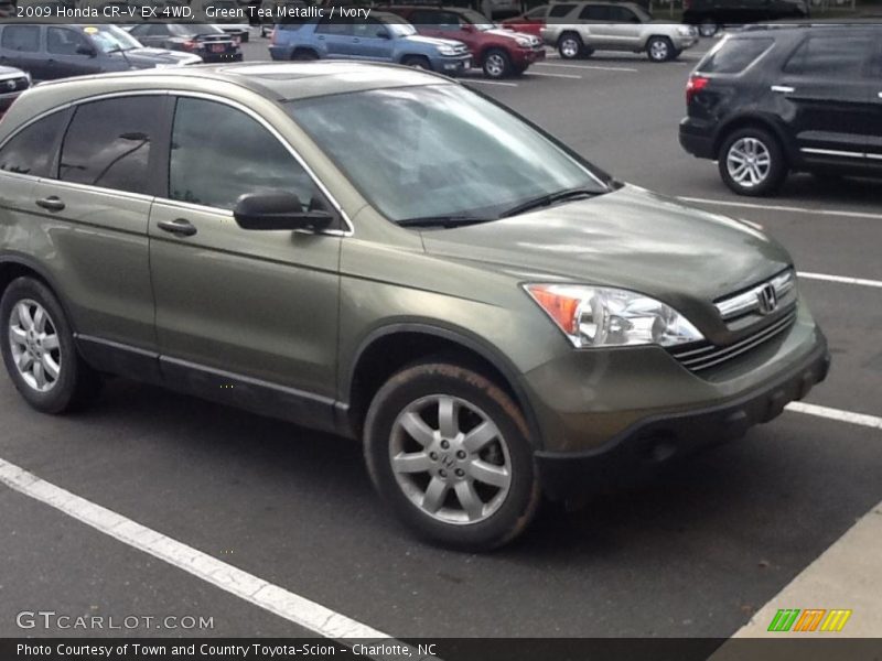 Green Tea Metallic / Ivory 2009 Honda CR-V EX 4WD