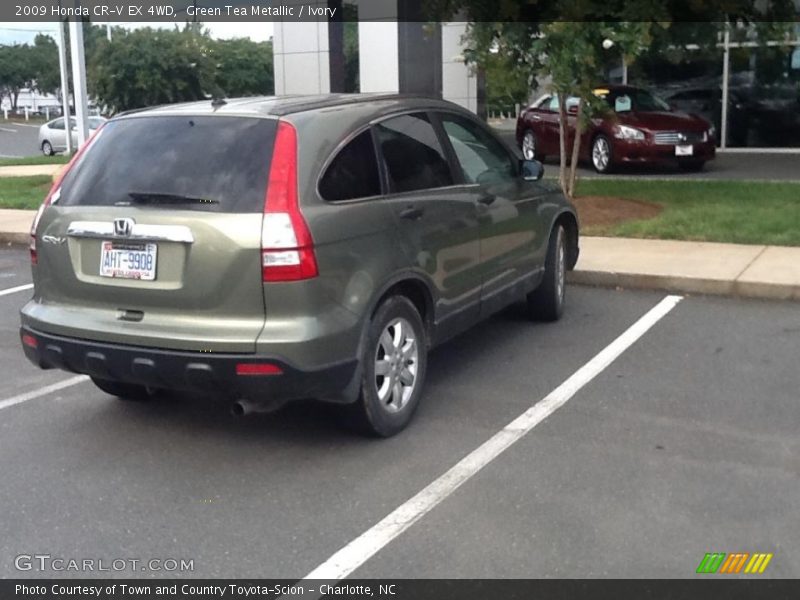 Green Tea Metallic / Ivory 2009 Honda CR-V EX 4WD