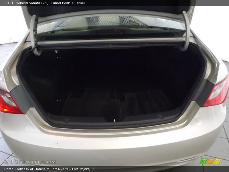 Camel Pearl / Camel 2011 Hyundai Sonata GLS