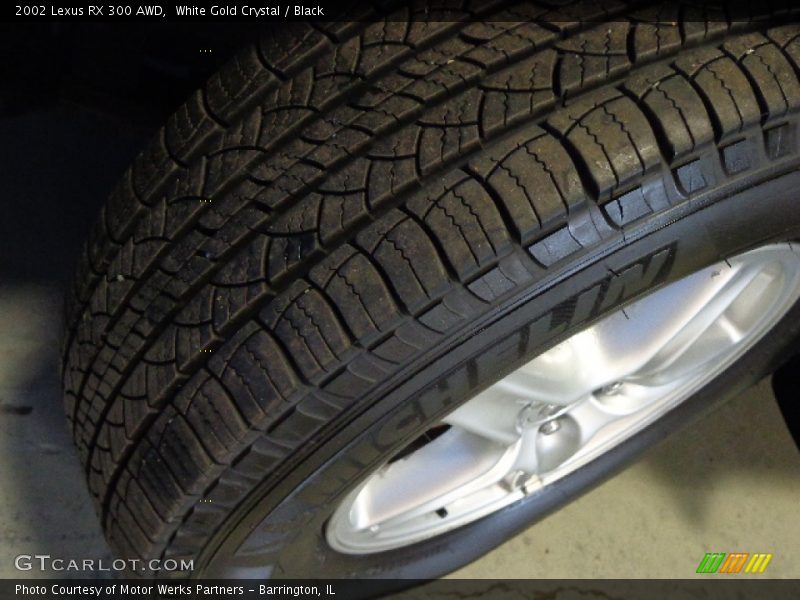 White Gold Crystal / Black 2002 Lexus RX 300 AWD