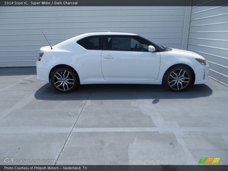 Super White / Dark Charcoal 2014 Scion tC