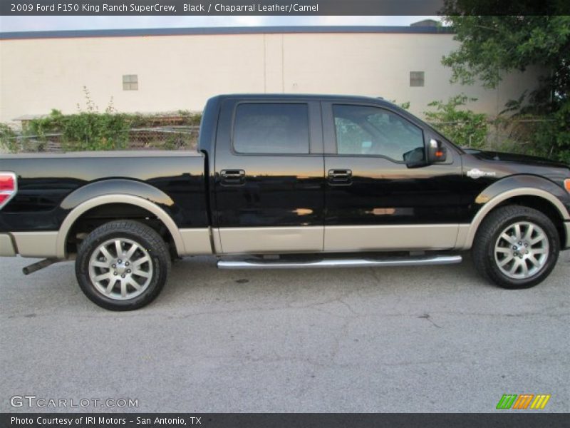 Black / Chaparral Leather/Camel 2009 Ford F150 King Ranch SuperCrew