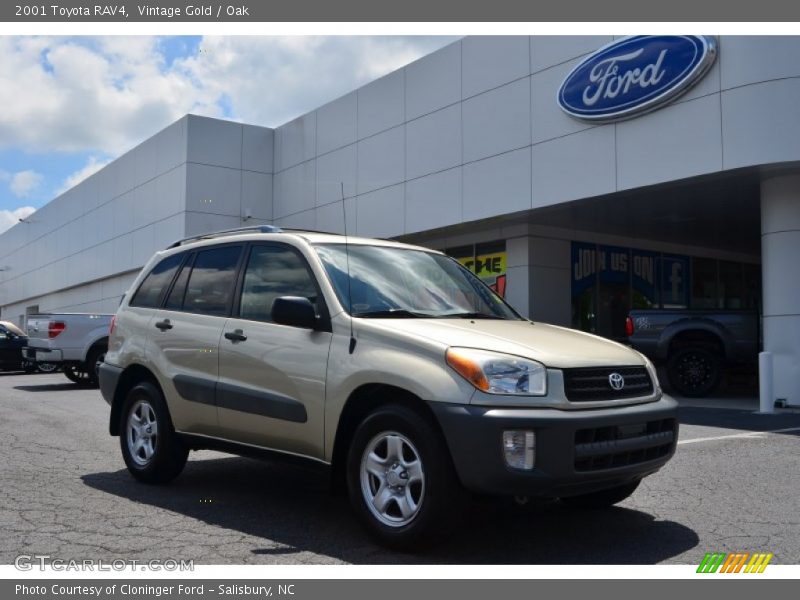 Vintage Gold / Oak 2001 Toyota RAV4