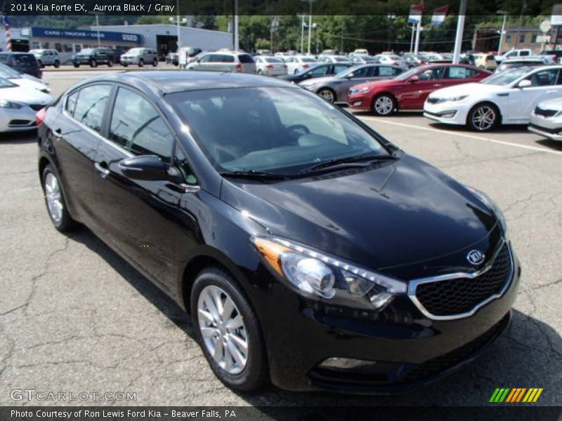 Aurora Black / Gray 2014 Kia Forte EX