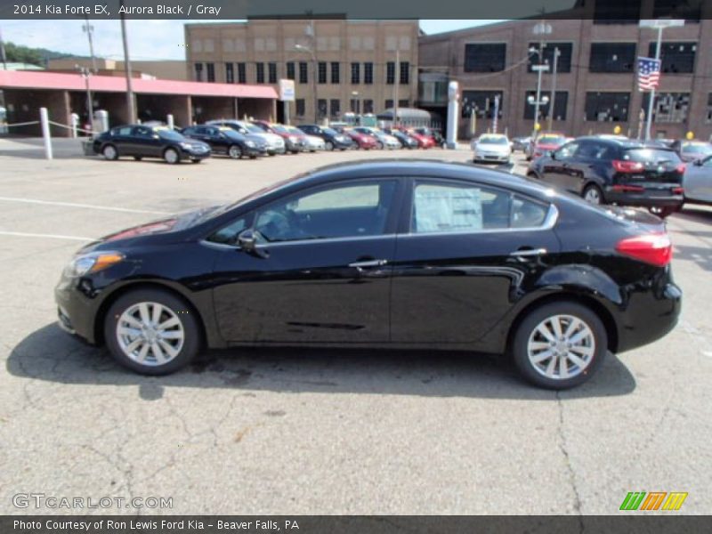 Aurora Black / Gray 2014 Kia Forte EX