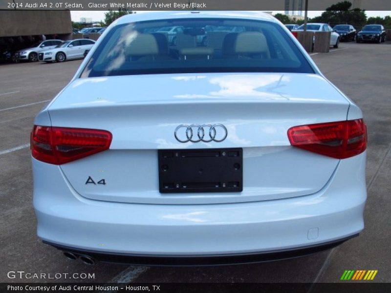 Glacier White Metallic / Velvet Beige/Black 2014 Audi A4 2.0T Sedan