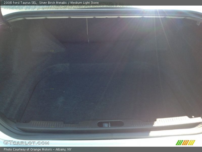 Silver Birch Metallic / Medium Light Stone 2008 Ford Taurus SEL