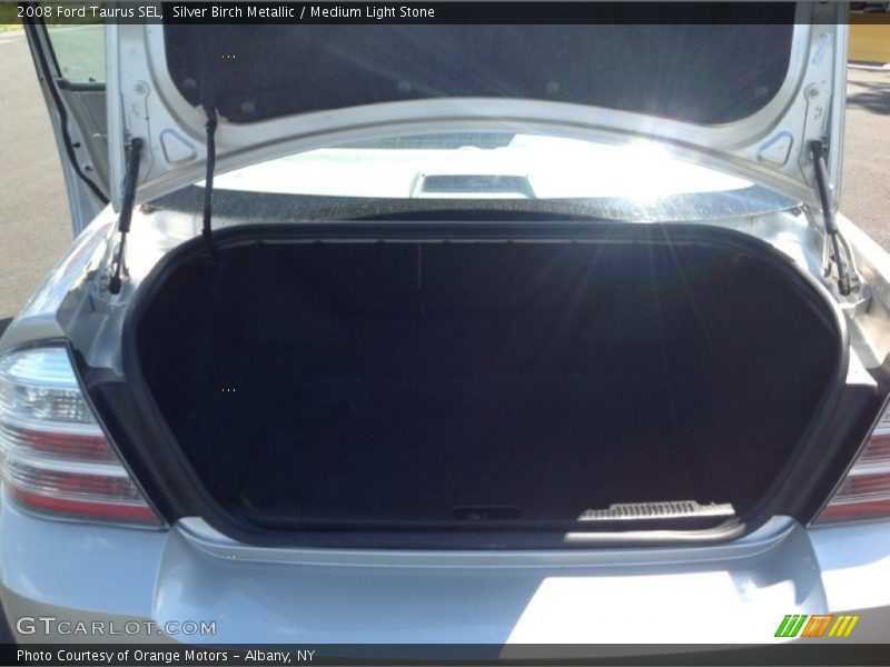 Silver Birch Metallic / Medium Light Stone 2008 Ford Taurus SEL