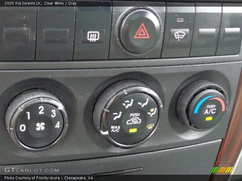 Clear White / Gray 2005 Kia Sorento LX