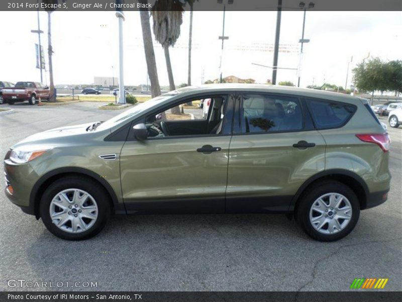 Ginger Ale / Charcoal Black 2014 Ford Escape S