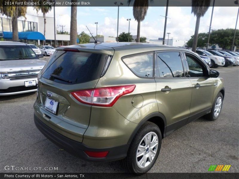 Ginger Ale / Charcoal Black 2014 Ford Escape S