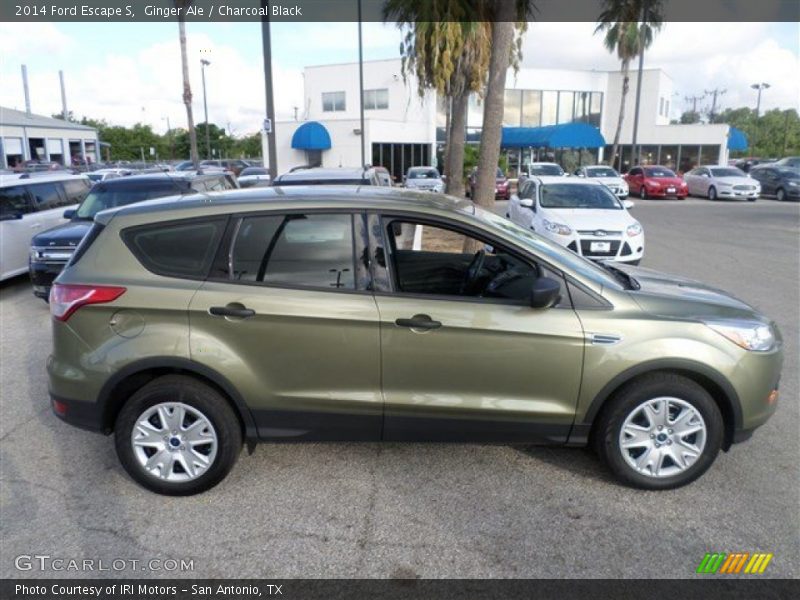 Ginger Ale / Charcoal Black 2014 Ford Escape S