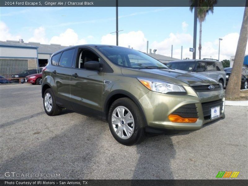 Ginger Ale / Charcoal Black 2014 Ford Escape S