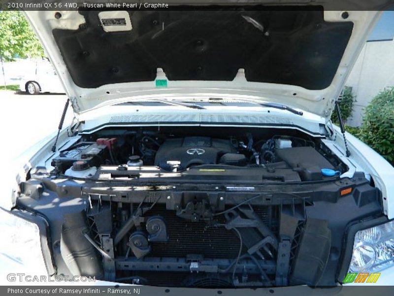 Tuscan White Pearl / Graphite 2010 Infiniti QX 56 4WD