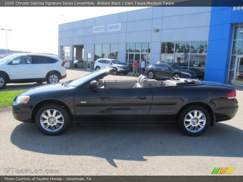 Brilliant Black / Dark Taupe/Medium Taupe 2005 Chrysler Sebring Signature Series Convertible