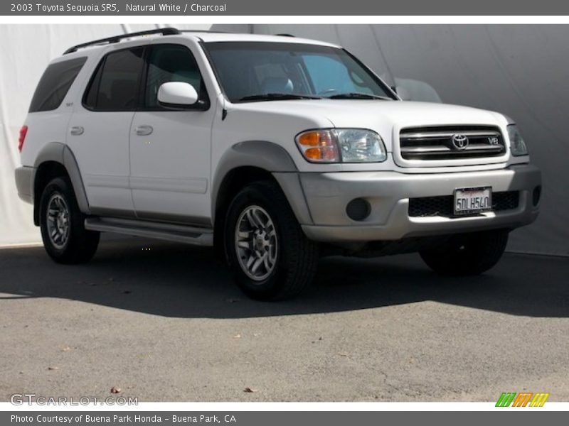 Natural White / Charcoal 2003 Toyota Sequoia SR5