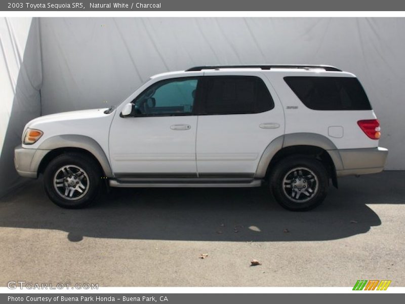 Natural White / Charcoal 2003 Toyota Sequoia SR5