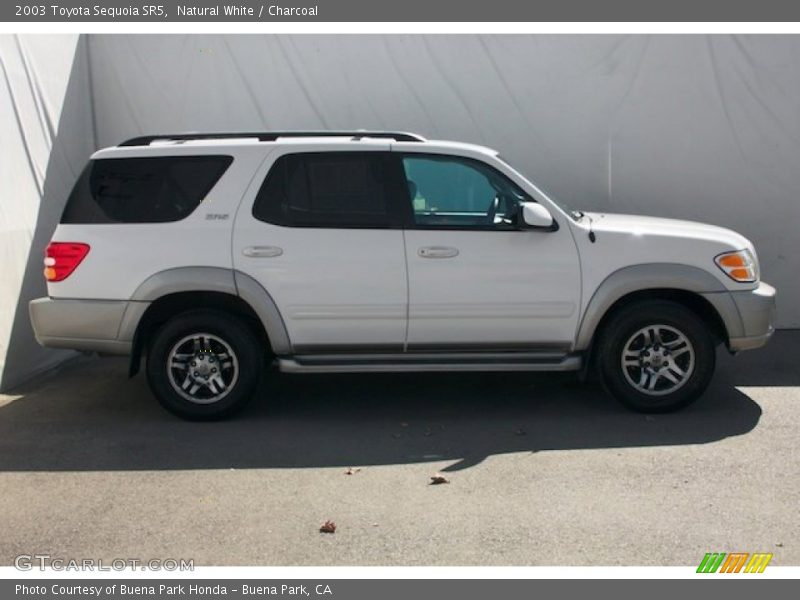 Natural White / Charcoal 2003 Toyota Sequoia SR5