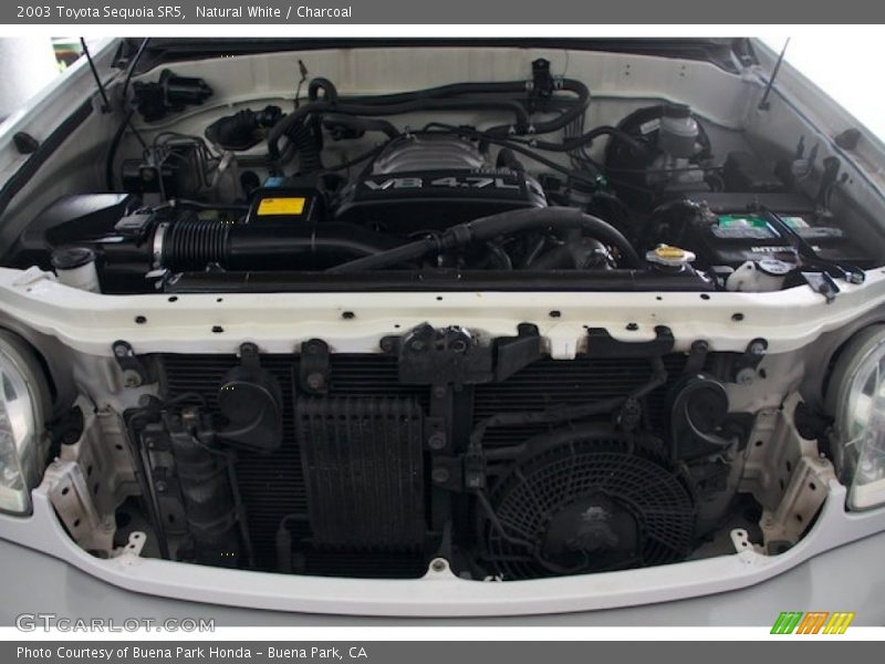 Natural White / Charcoal 2003 Toyota Sequoia SR5