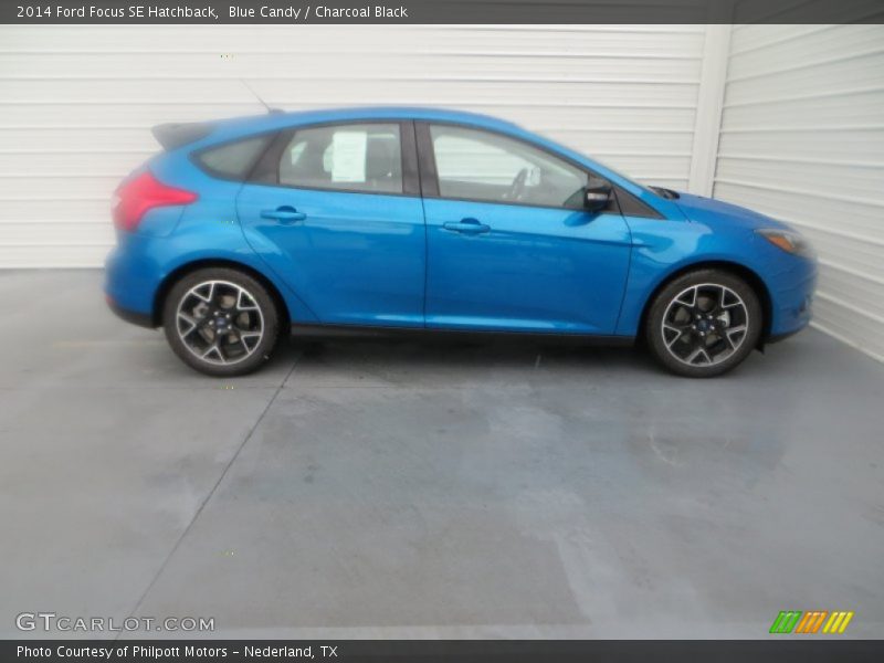  2014 Focus SE Hatchback Blue Candy