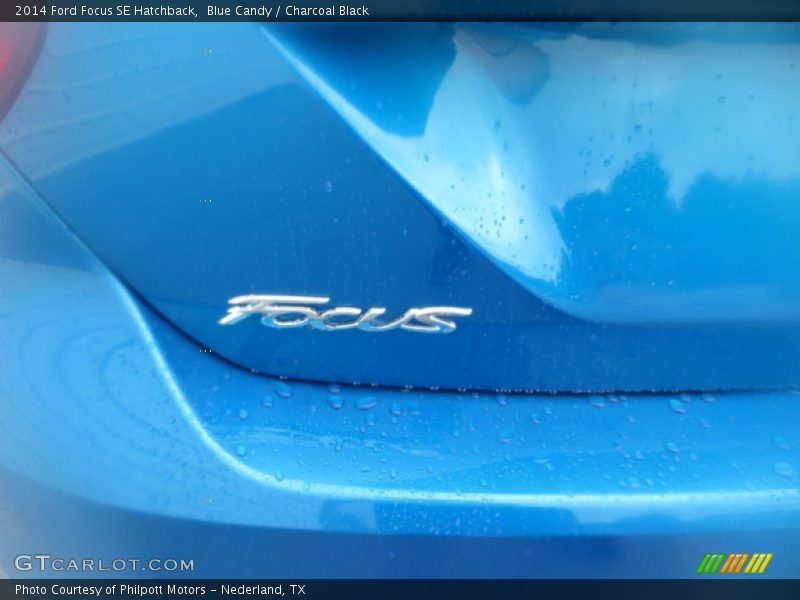 Blue Candy / Charcoal Black 2014 Ford Focus SE Hatchback
