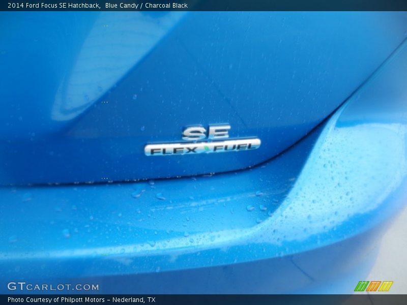 Blue Candy / Charcoal Black 2014 Ford Focus SE Hatchback
