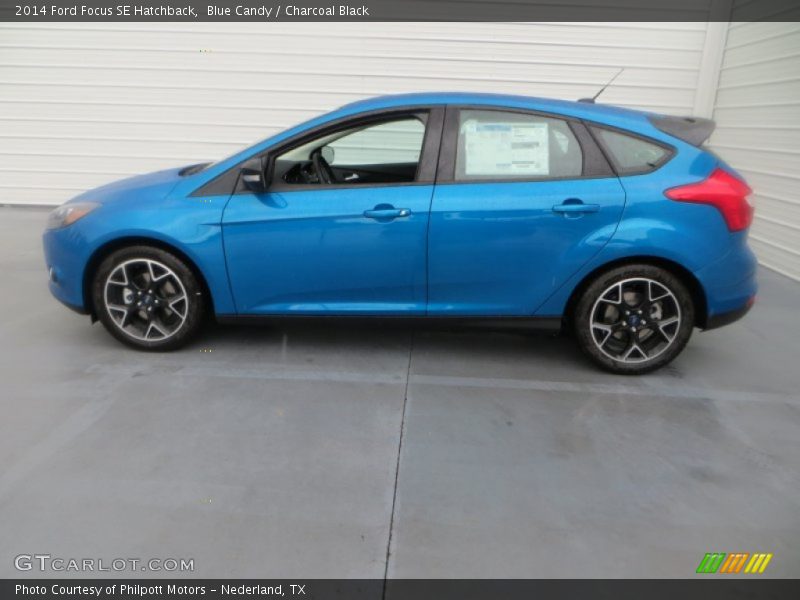 Blue Candy / Charcoal Black 2014 Ford Focus SE Hatchback