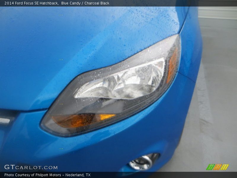 Blue Candy / Charcoal Black 2014 Ford Focus SE Hatchback
