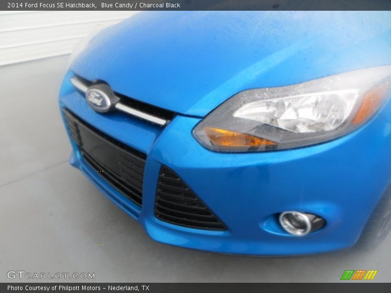 Blue Candy / Charcoal Black 2014 Ford Focus SE Hatchback