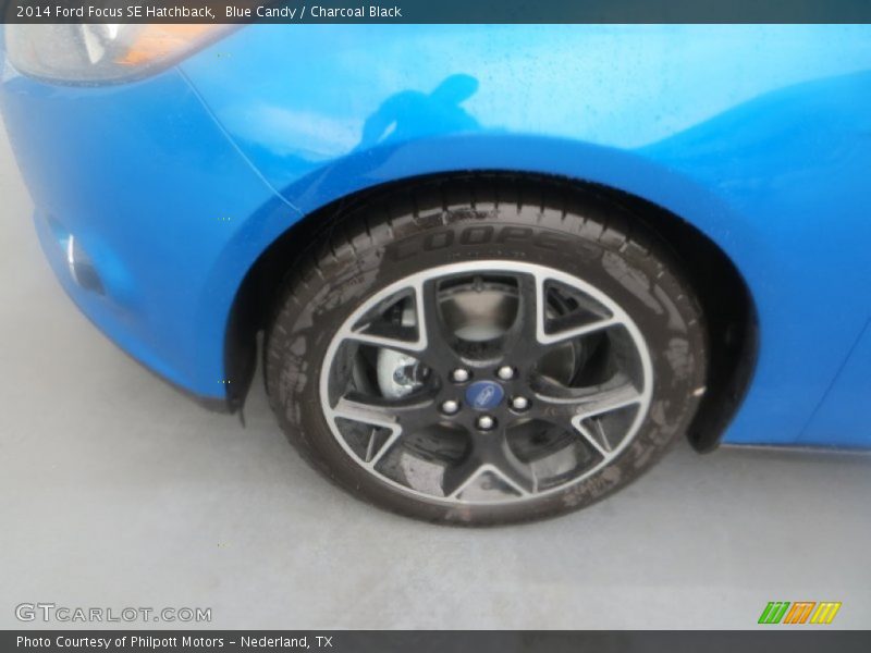 Blue Candy / Charcoal Black 2014 Ford Focus SE Hatchback
