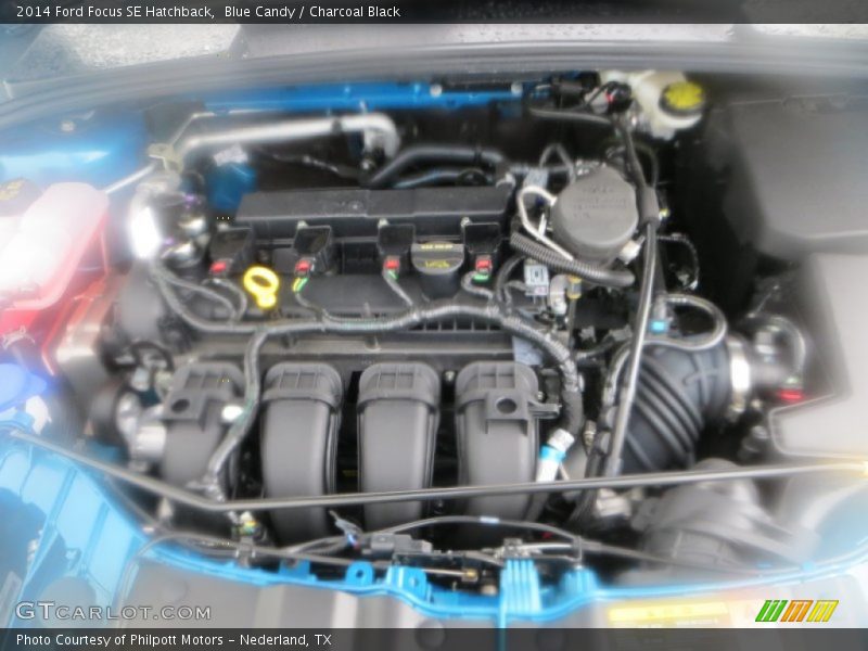 Blue Candy / Charcoal Black 2014 Ford Focus SE Hatchback