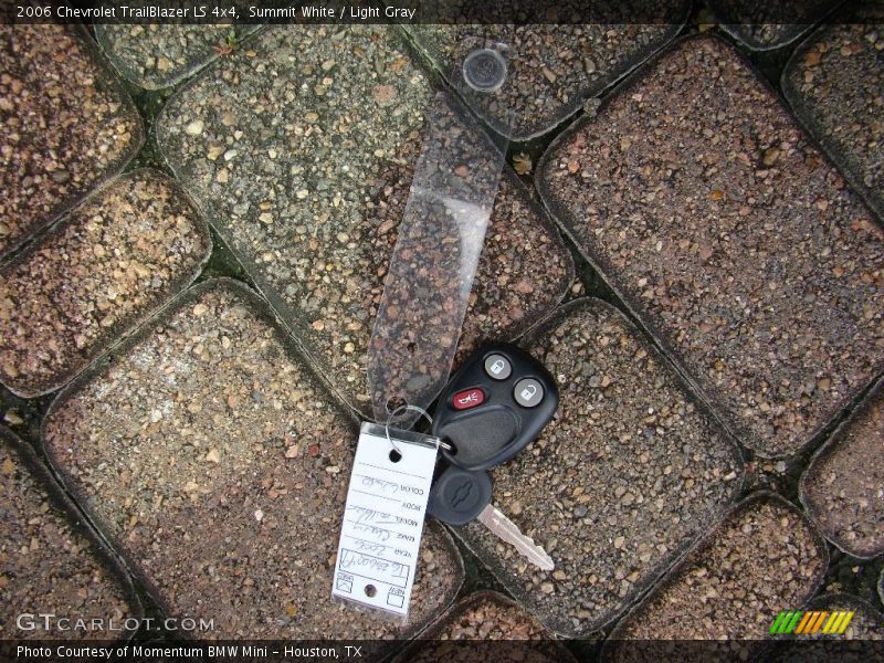 Summit White / Light Gray 2006 Chevrolet TrailBlazer LS 4x4