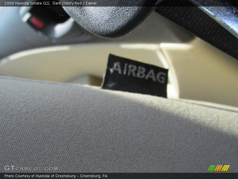 Dark Cherry Red / Camel 2009 Hyundai Sonata GLS