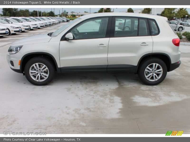  2014 Tiguan S White Gold Metallic