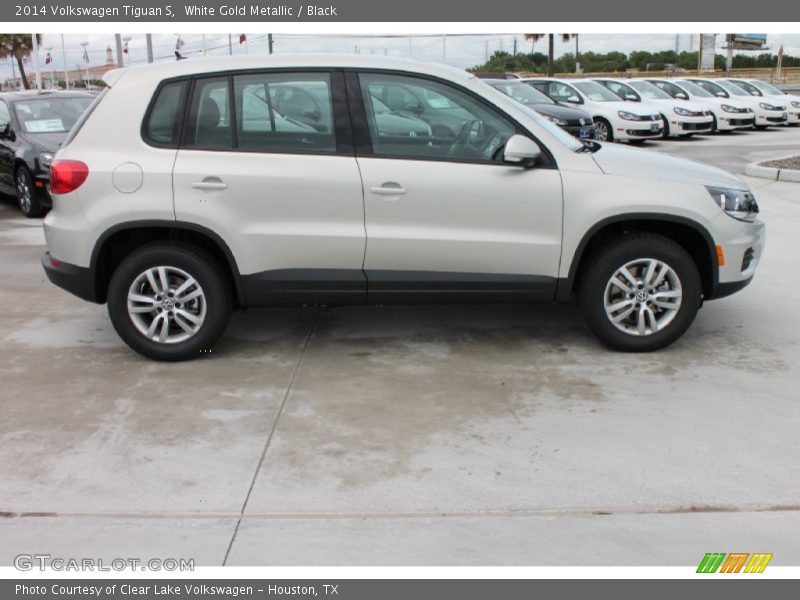  2014 Tiguan S White Gold Metallic