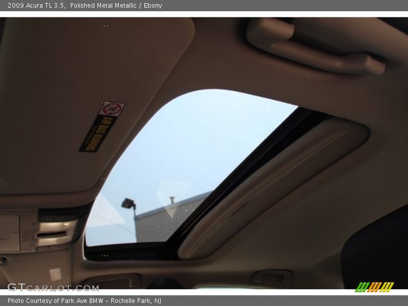 Polished Metal Metallic / Ebony 2009 Acura TL 3.5
