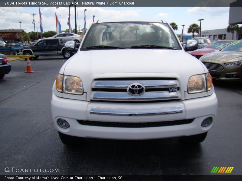 Natural White / Light Charcoal 2004 Toyota Tundra SR5 Access Cab 4x4