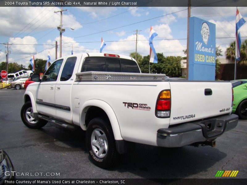 Natural White / Light Charcoal 2004 Toyota Tundra SR5 Access Cab 4x4