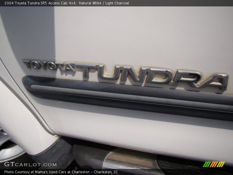 Natural White / Light Charcoal 2004 Toyota Tundra SR5 Access Cab 4x4