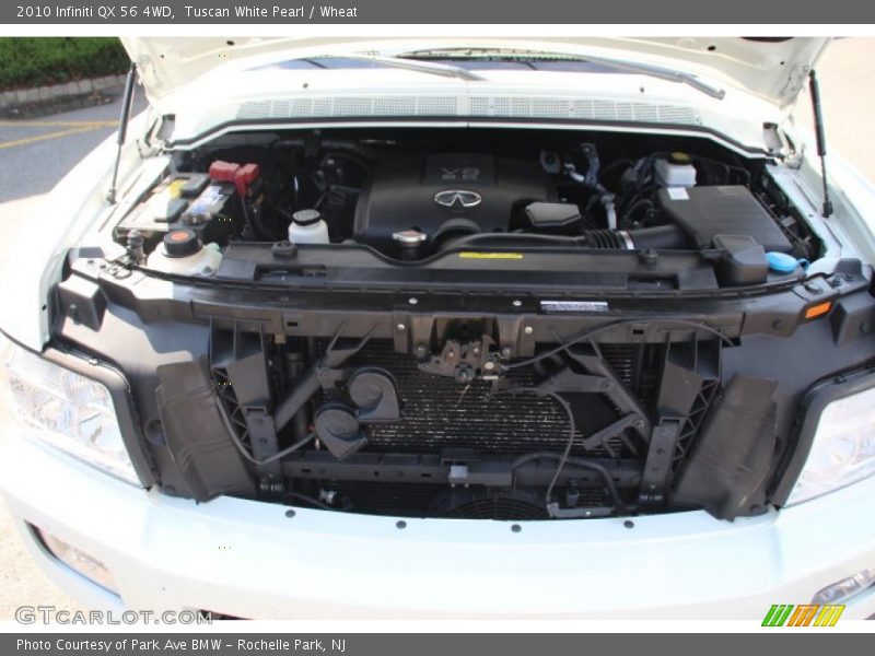 Tuscan White Pearl / Wheat 2010 Infiniti QX 56 4WD