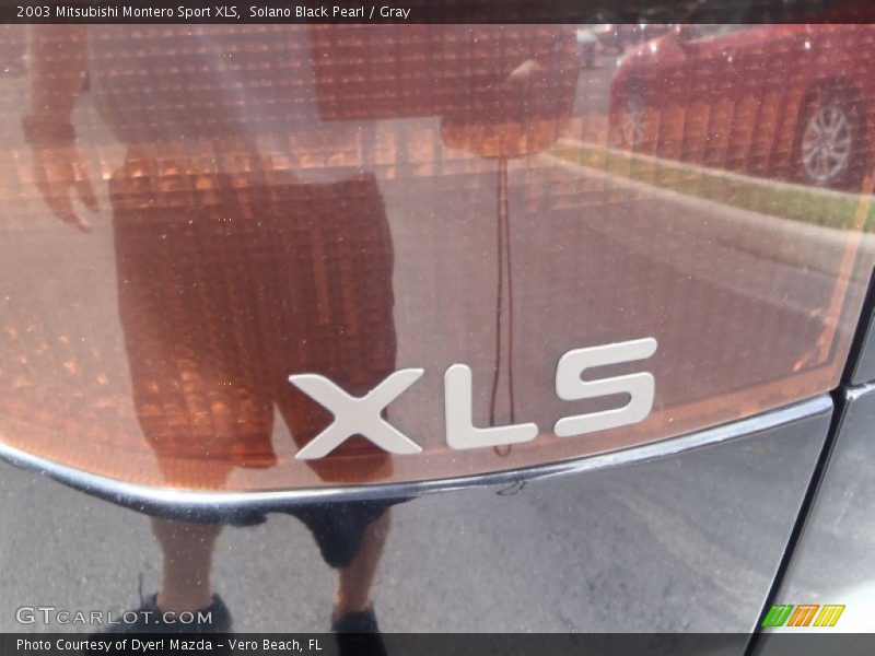 Solano Black Pearl / Gray 2003 Mitsubishi Montero Sport XLS