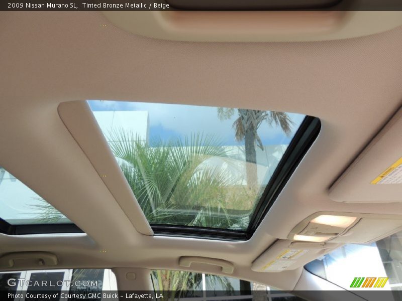 Tinted Bronze Metallic / Beige 2009 Nissan Murano SL