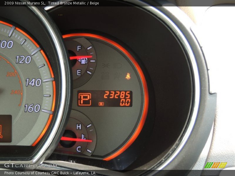 Tinted Bronze Metallic / Beige 2009 Nissan Murano SL